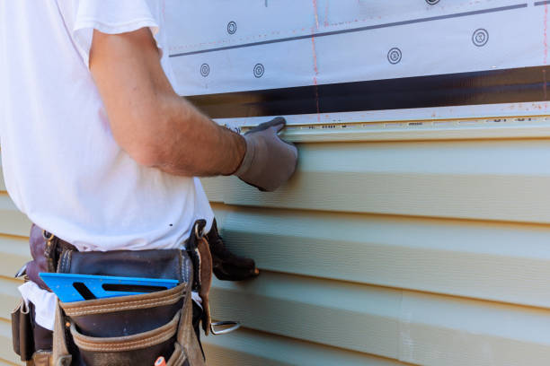 Affordable Vinyl Siding solutions in Georgetown, IL